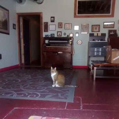 marvinattinytelephone