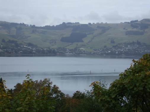 view-from-dales-balcony-in-st-leonards_2422296740_o