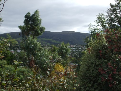 view-from-rainy-and-scotts-balcony_2422250544_o